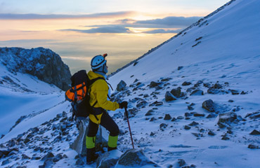 Supervisor Disapproved of Latest Work.